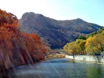 新澳天天开奖资料大全旅游团，求索论坛